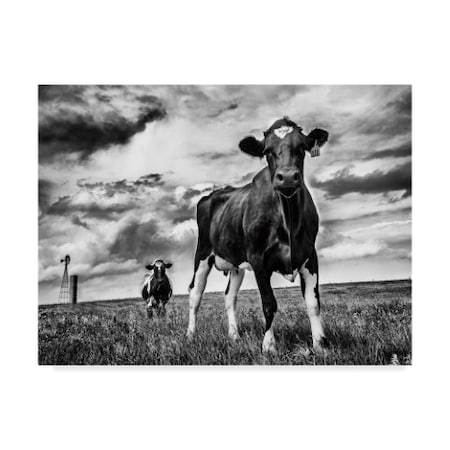 Aledanda 'Waiting Bw' Canvas Art,24x32